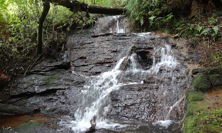 cachoeira_Gonçalves_sul_minas